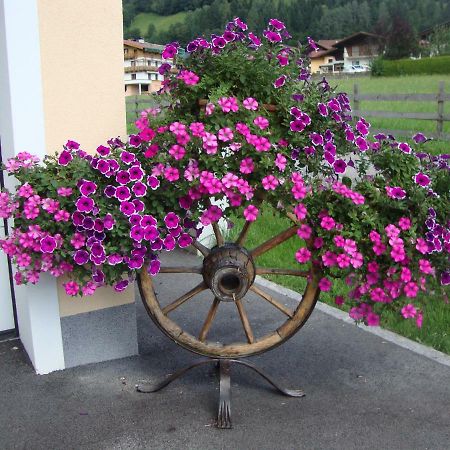 Apartament Haus Schnepfleitner Dorfgastein Zewnętrze zdjęcie