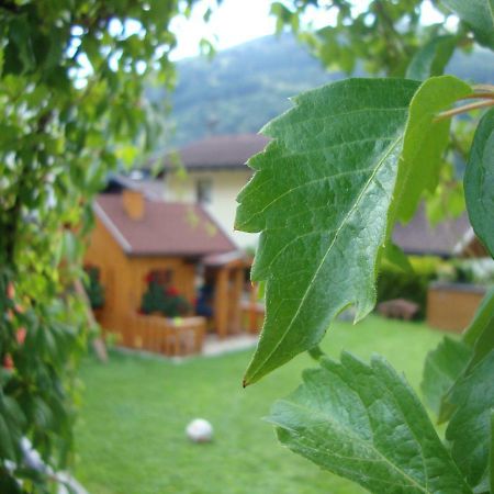 Apartament Haus Schnepfleitner Dorfgastein Zewnętrze zdjęcie